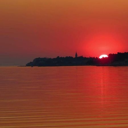 Apartment Novigrad City Centre Dış mekan fotoğraf