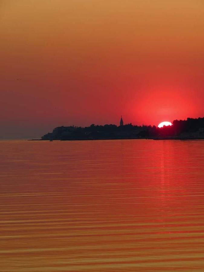 Apartment Novigrad City Centre Dış mekan fotoğraf